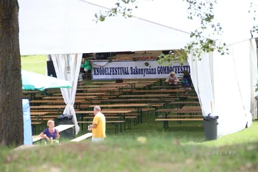 Bakonynána, Gombócfesztivál, 2017.