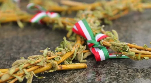 'Nemzeti ünnep – megemlékezés' cikk borítóképe