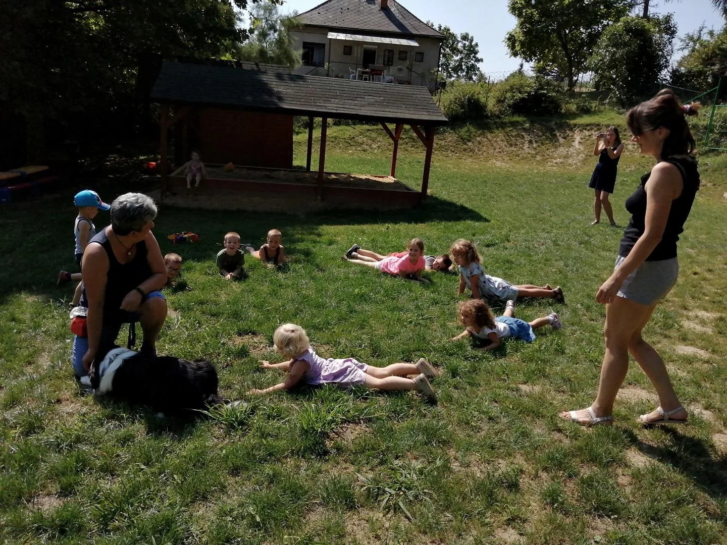 Nyári pillanatképek