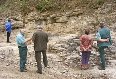 Fotók: Tóth Szabolcs / Balaton-felvidéki Nemzeti Park