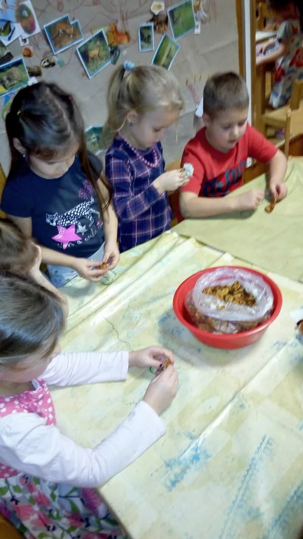 Madárbarát óvoda lettünk