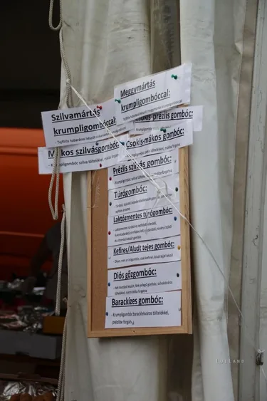Bakonynána, Gombócfesztivál, 2017.