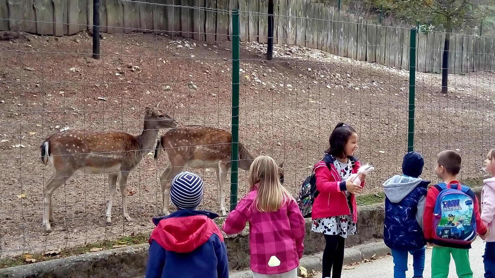 2019 Állatkertben Kirándultunk
