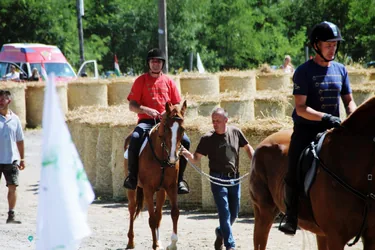 Bakonyi Vágta 2019
