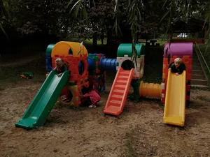 Nyári pillanatképek