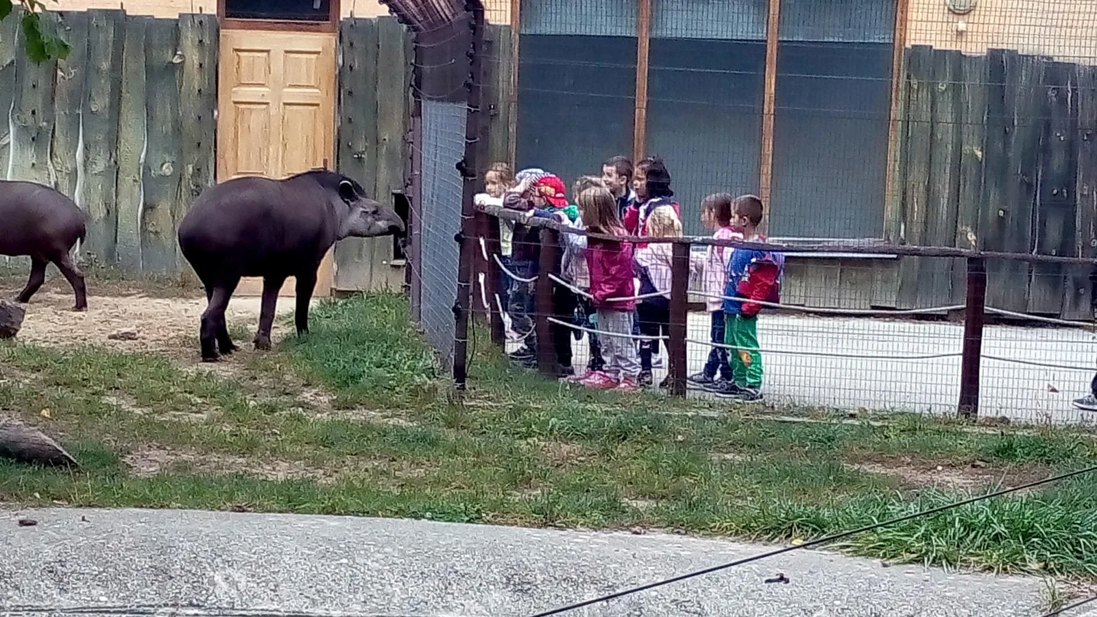 2019 Állatkertben Kirándultunk