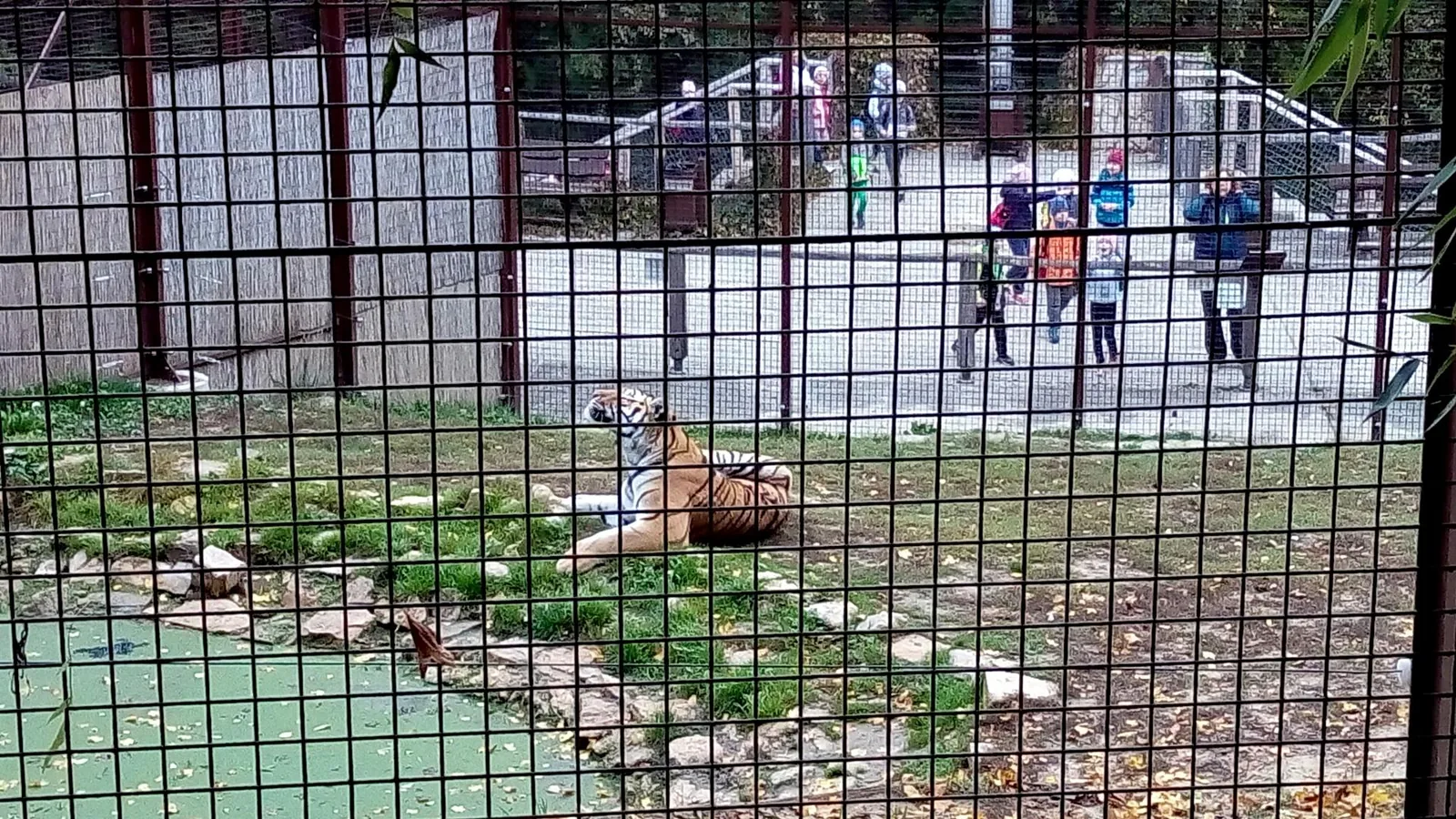 2019 Állatkertben Kirándultunk