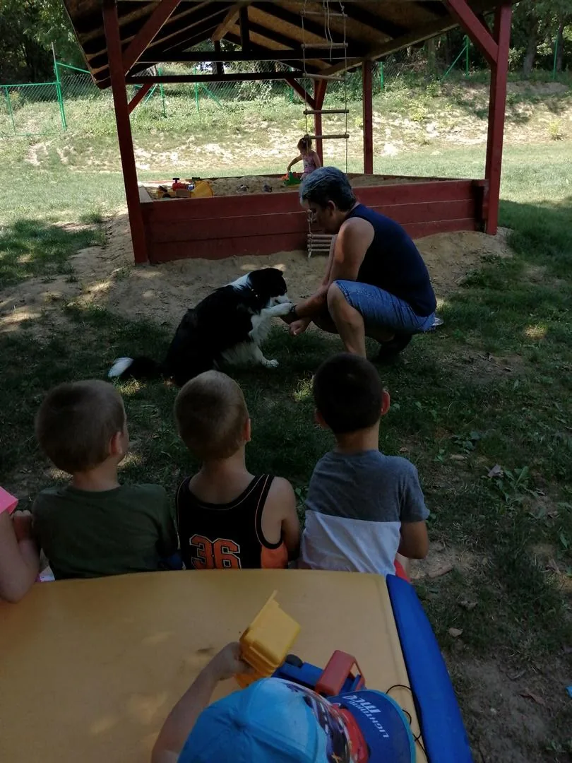 Nyári pillanatképek