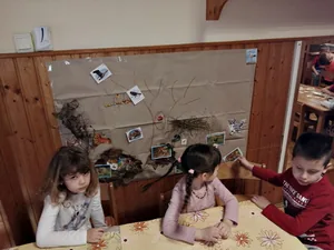 Madarak etetése télen