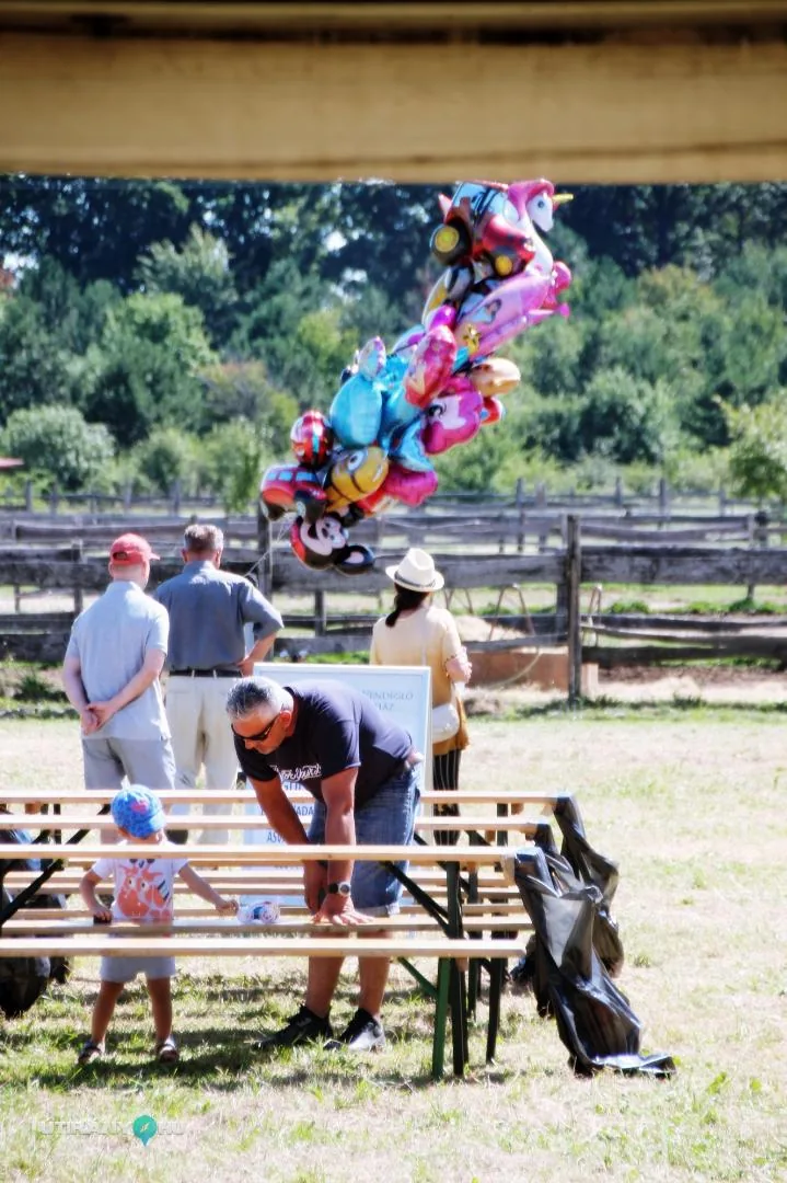 2019 Bakonyi Vágta. Fotók: Útirány.hu