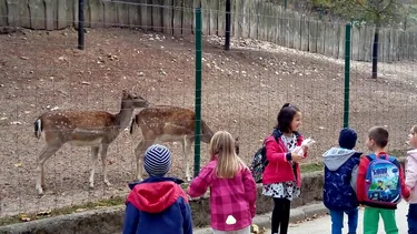 2019 Állatkertben Kirándultunk