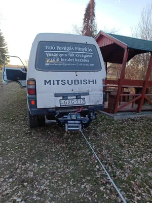 2db beteg akác és 1db beteg diófa, alpintechnikával és csörlő segítségével