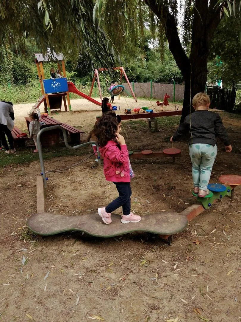 Nyári pillanatképek