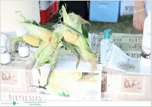 Fotók: Útirány.hu