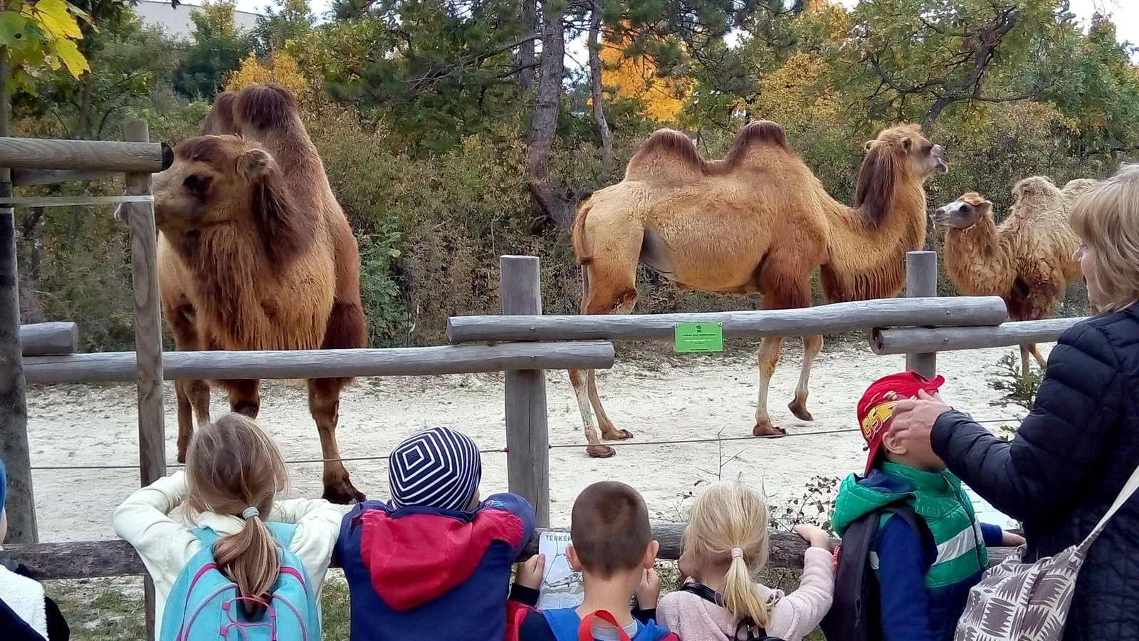 2019 Állatkertben Kirándultunk
