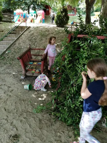 Nyári pillanatképek