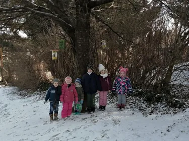 Madarak etetése télen